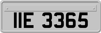 IIE3365