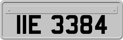 IIE3384