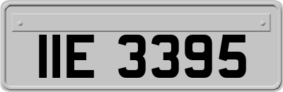 IIE3395