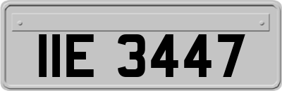 IIE3447