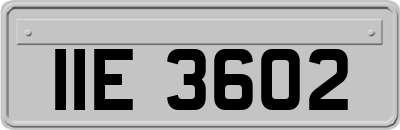 IIE3602