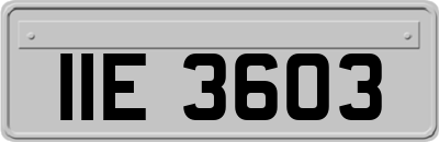 IIE3603