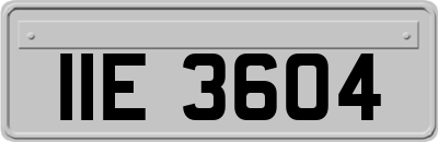IIE3604