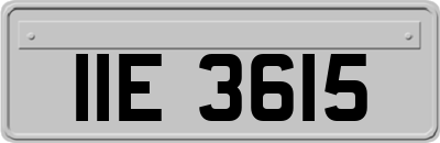 IIE3615