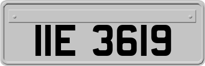 IIE3619