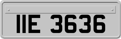 IIE3636