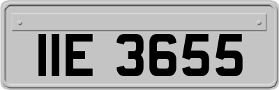 IIE3655