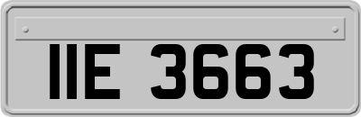 IIE3663