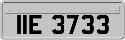 IIE3733