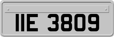 IIE3809