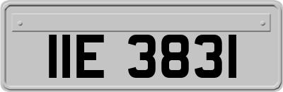 IIE3831