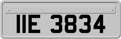 IIE3834