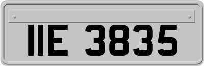 IIE3835