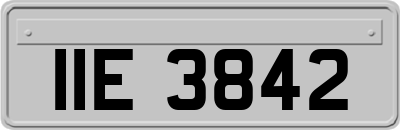IIE3842