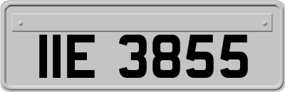 IIE3855