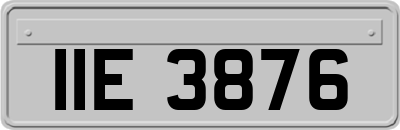 IIE3876