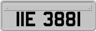 IIE3881