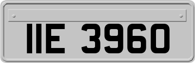 IIE3960