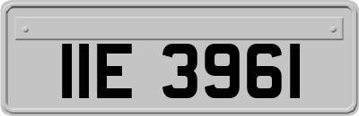 IIE3961