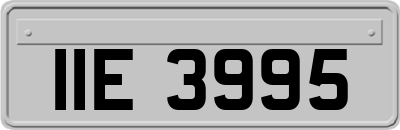 IIE3995