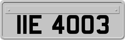 IIE4003