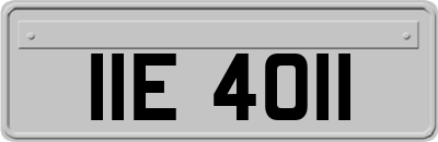 IIE4011