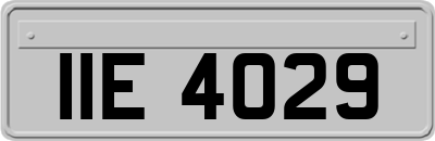 IIE4029