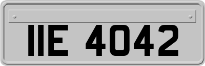 IIE4042