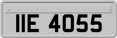 IIE4055
