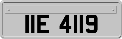 IIE4119