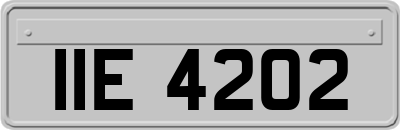 IIE4202