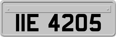 IIE4205
