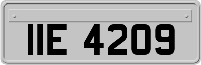 IIE4209