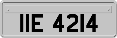 IIE4214