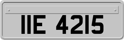 IIE4215