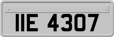 IIE4307