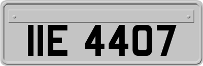 IIE4407