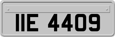 IIE4409