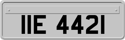 IIE4421