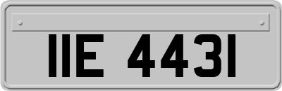 IIE4431