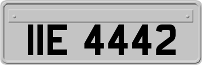 IIE4442