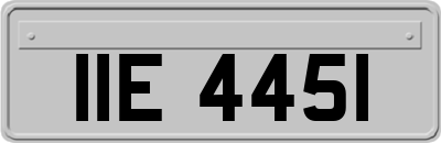 IIE4451