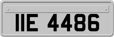 IIE4486