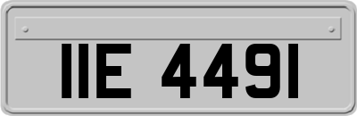 IIE4491