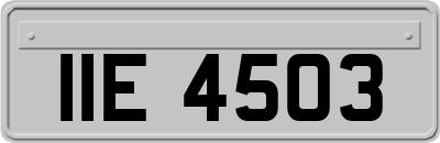 IIE4503