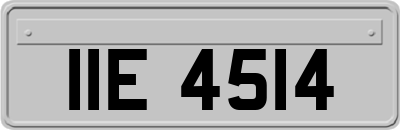 IIE4514