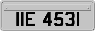 IIE4531