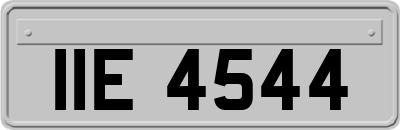 IIE4544