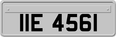 IIE4561