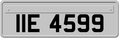 IIE4599
